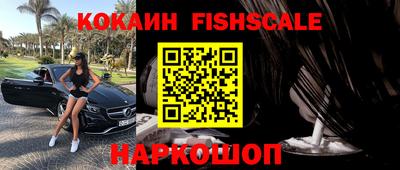 индика Камышлов
