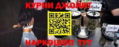 индика Камышлов