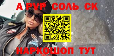 индика Камышлов