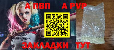 индика Камышлов