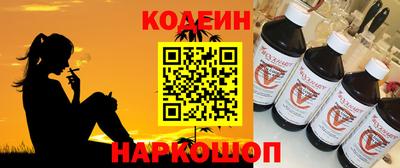 индика Камышлов