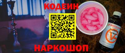 индика Камышлов