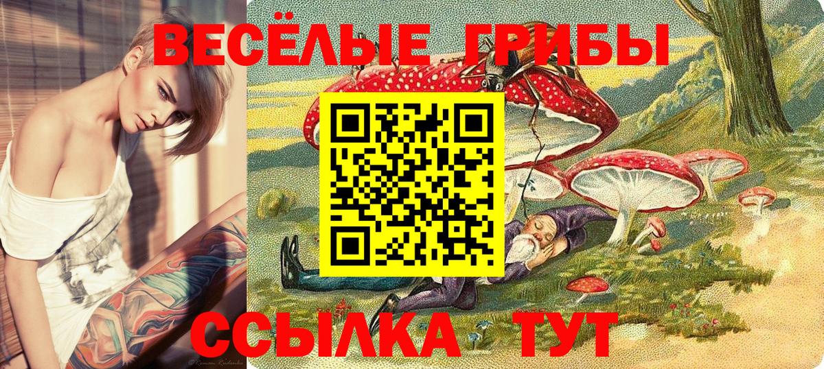 Галлюциногенные грибы мицелий  Вход с VPN  Краснодар  Галлюциногенные грибы Psilocybe 